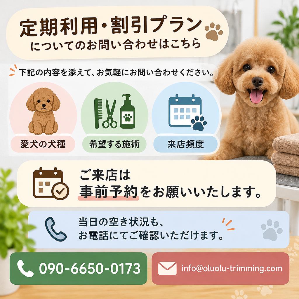 愛犬に合うお得な通い方、まずは気軽にご相談ください