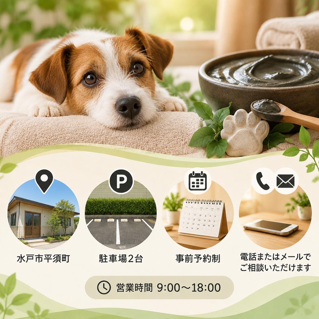 愛犬にぴったりのご褒美スパ、まずは気軽にご相談ください