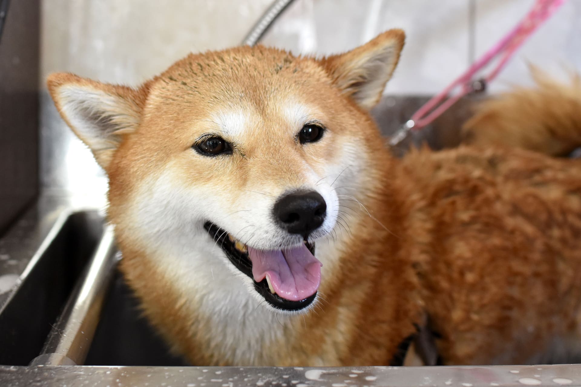 水戸
