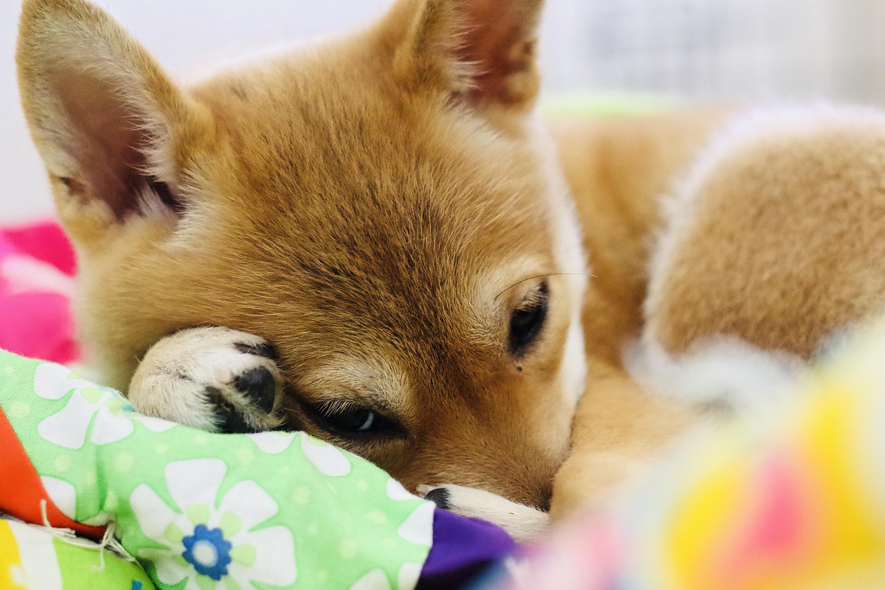 地域の価格比較!今ならキャンペーン中