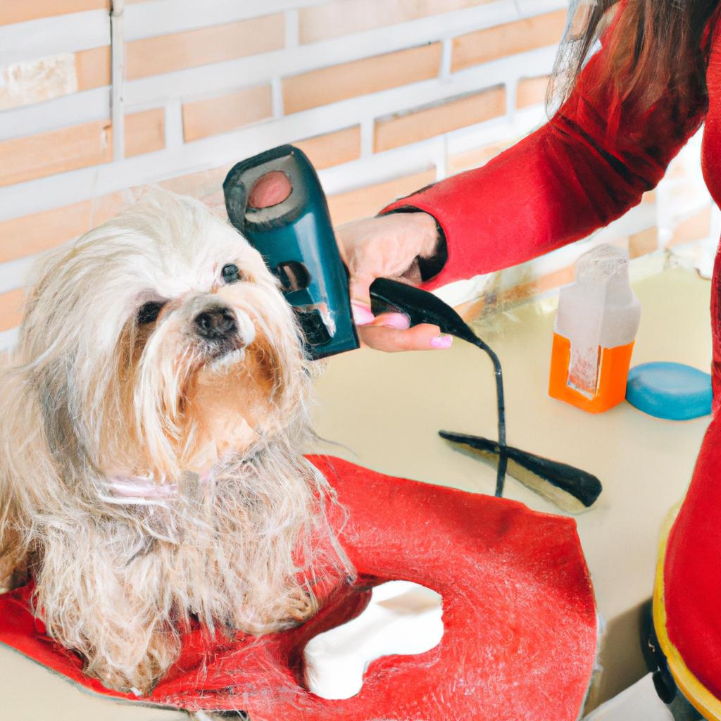 犬の健康を最優先に