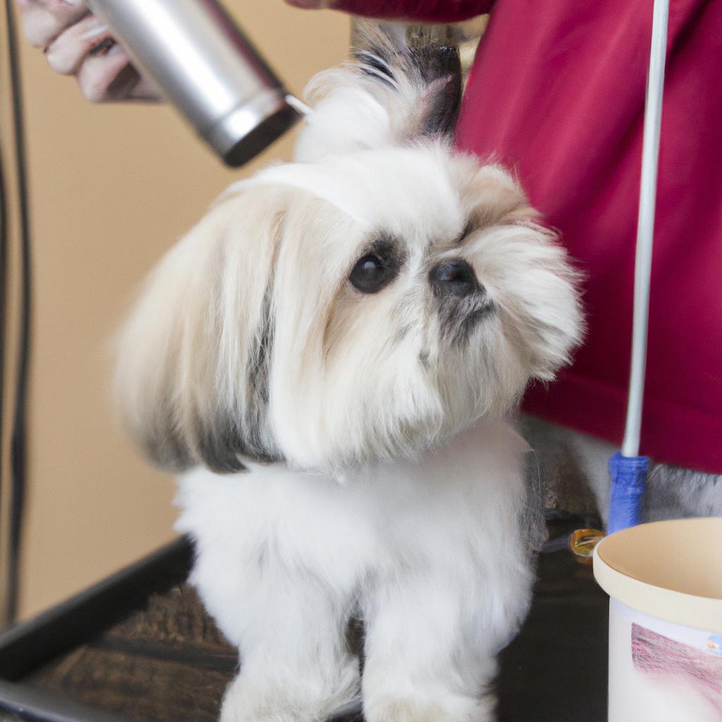 愛犬のキレイをお手軽に。
