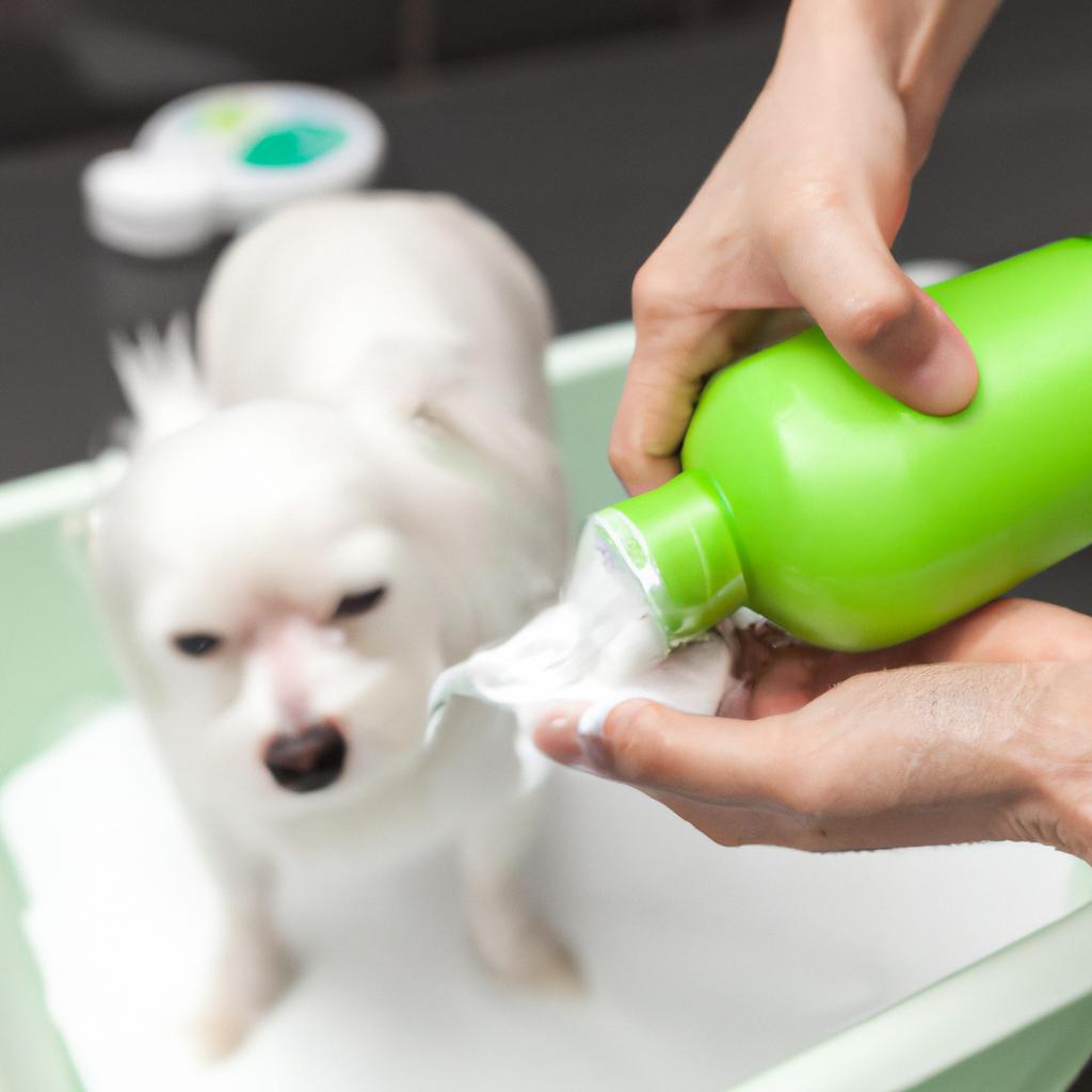 水クレンジングで愛犬の皮脂汚れを徹底ケア！