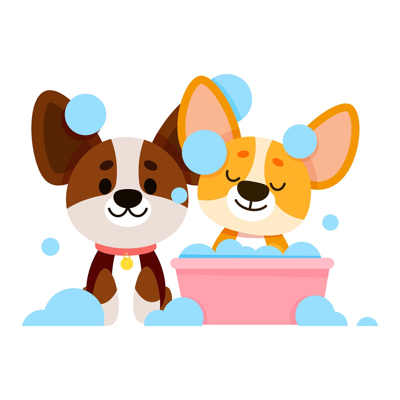 肌に優しく、すっきり清潔！愛犬のための水クレンジング