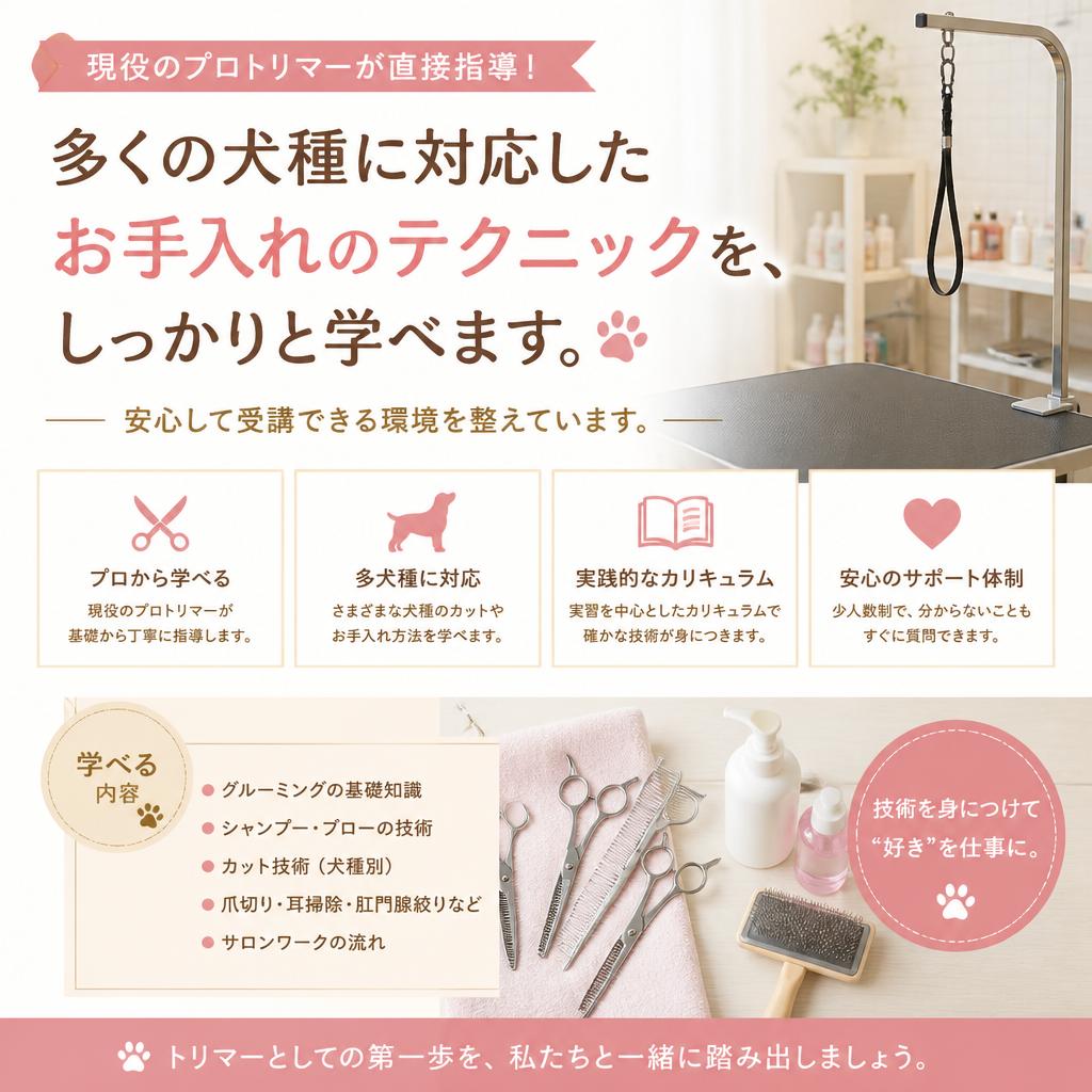 経験豊富な講師陣による指導