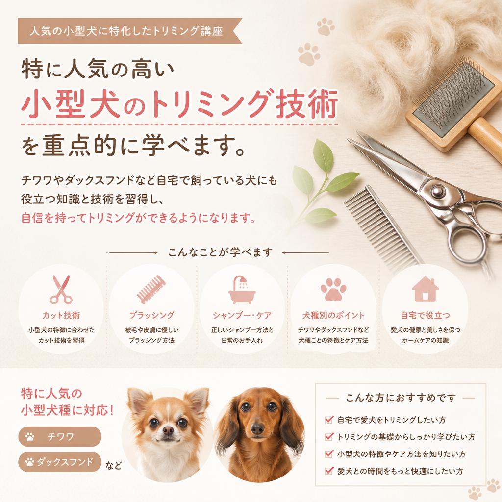 小型犬のトリミングをバッチリマスター！