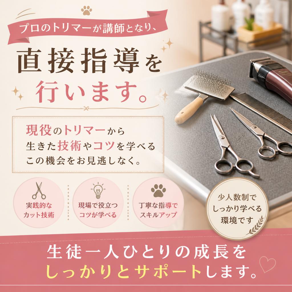 経験豊富なトリマーから学べる！