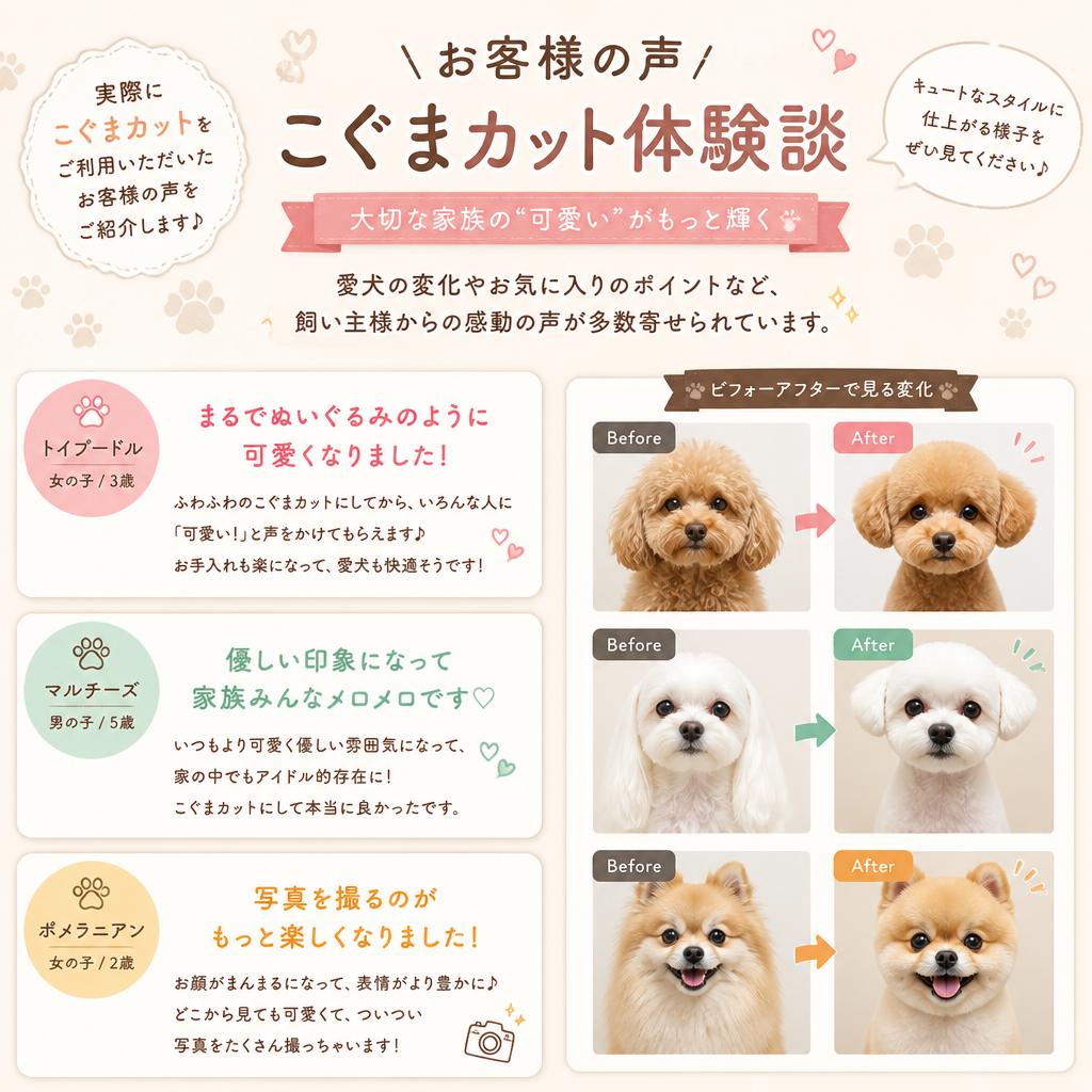 飼い主様の声！こぐまカットの実績