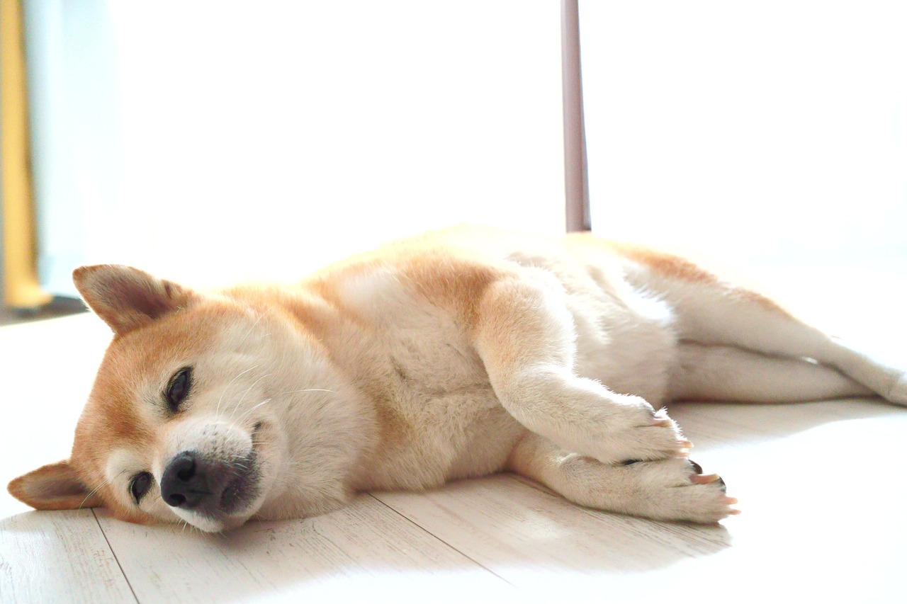 抜け毛を減らすためのオプションメニュー