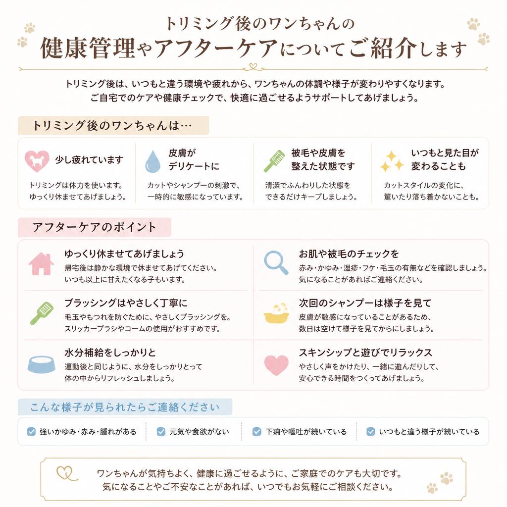 5. 施術後のケアとアフターサービス