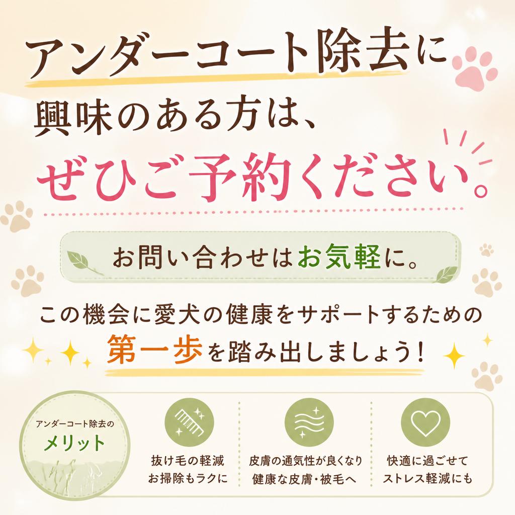 今すぐご予約を！