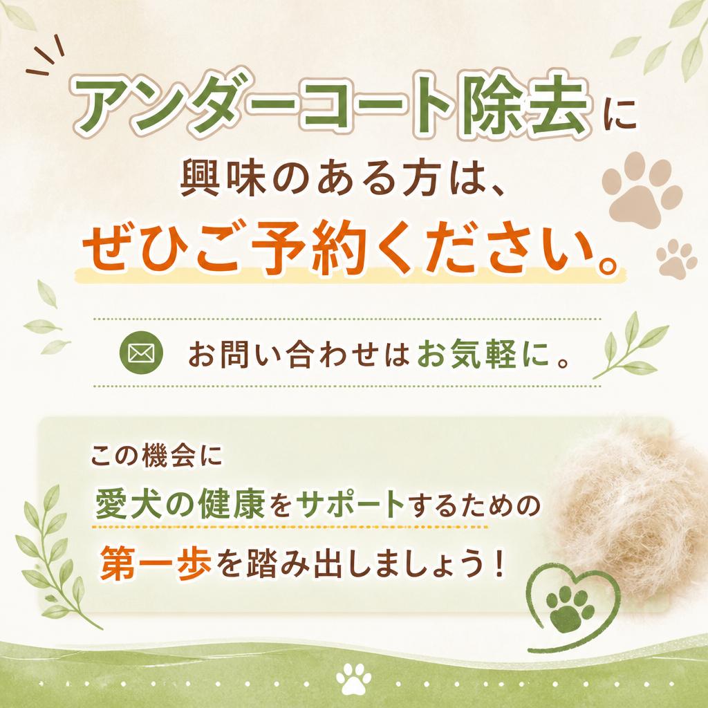 今すぐご予約を！