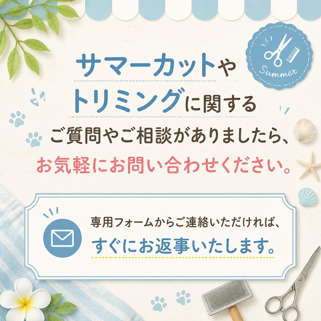 お気軽にお問い合わせください
