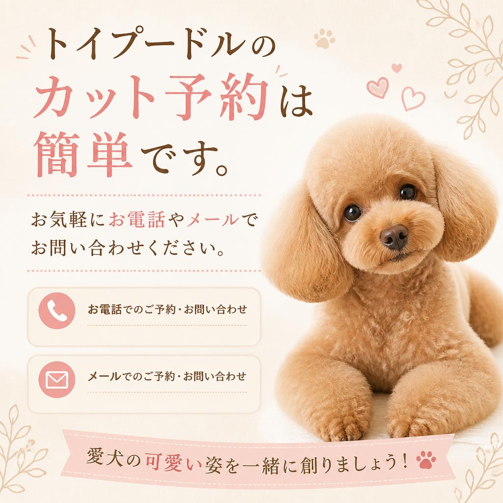 今すぐご予約を！