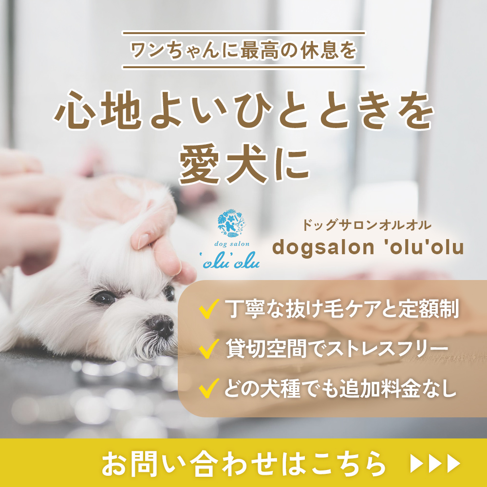 modal_banner